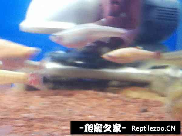 155234wr4cy1dftbfe1c9f.jpg