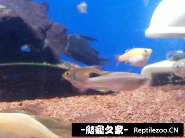 155235p8niaetwr8wwyedh.jpg