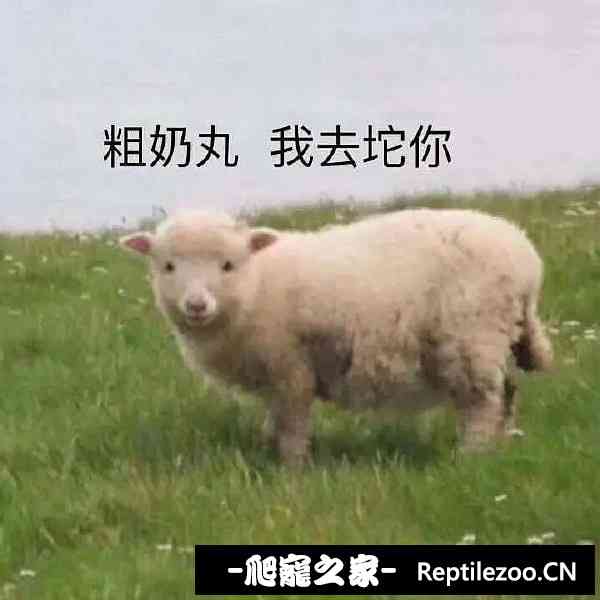 155455biish7fiav4hm579.jpg