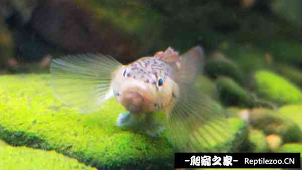 155515e9ctbp3d3t13gvc7.jpg