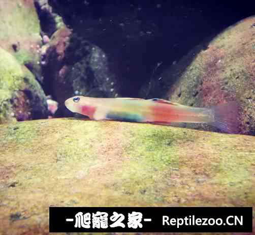 155550lkm3qmd8xahk3q34.jpg