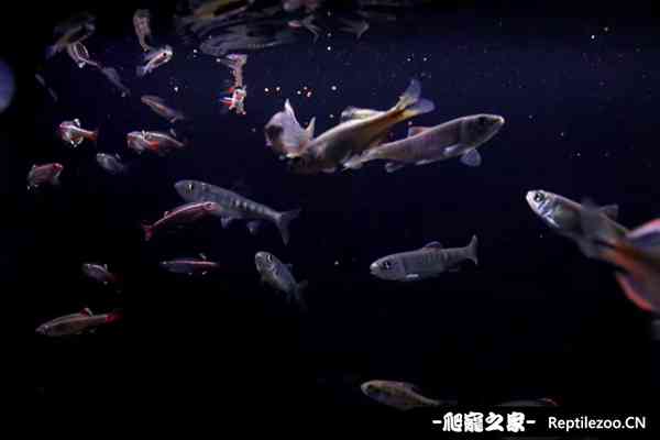 155639b2j28l1bj8roijjb.jpg