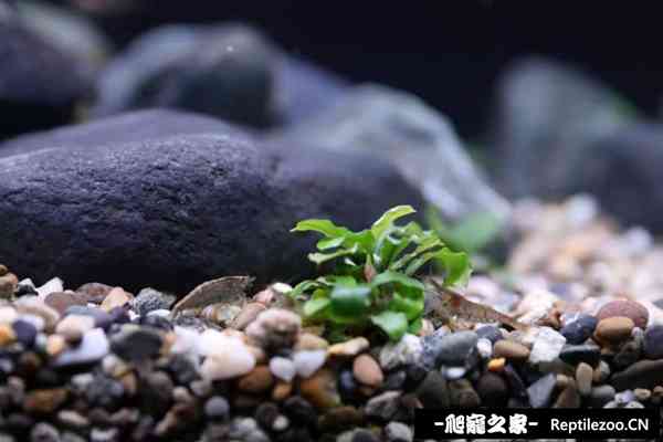 155640b46efl6kejb1bu1f.jpg