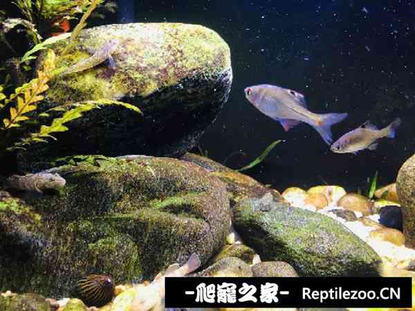 155745xqi4c431ikwsv3qe.jpg