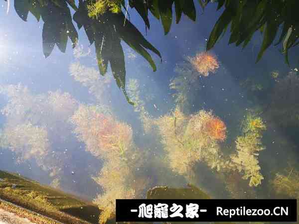 155850cvzoog4p3w1nz34n.jpg