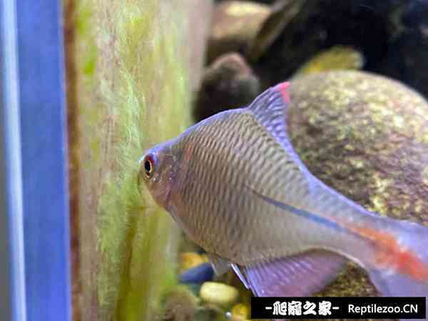 155855twut510t18mew0t7.jpg