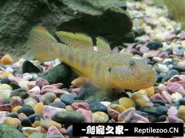 155951b2q3s2oo7d1wy8wo.jpg