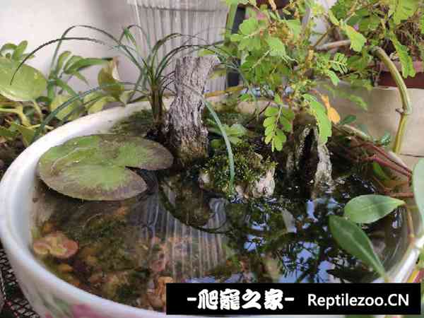 160006z2n9u0ciy53yquzi.jpg