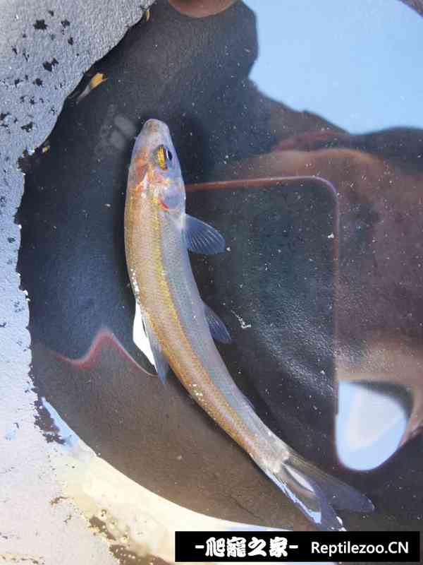 160008uclioih770x3flm4.jpg