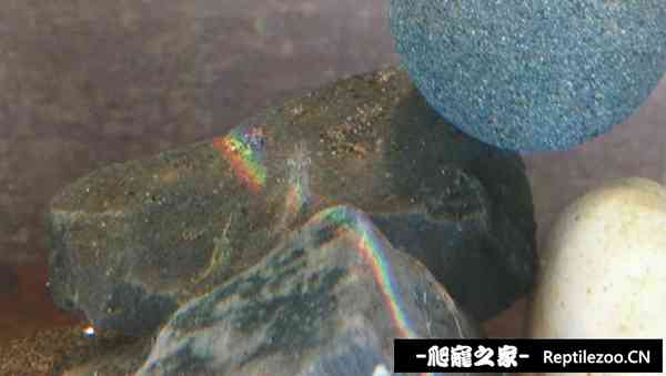 160018gu2h3irq6bpazmxa.jpg