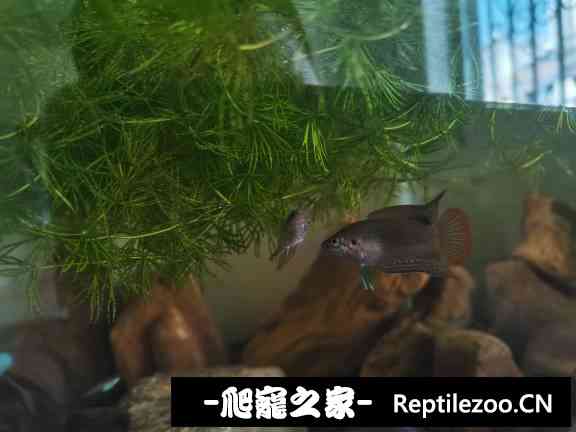 160030f4y5hdqpmi447u5g.jpg