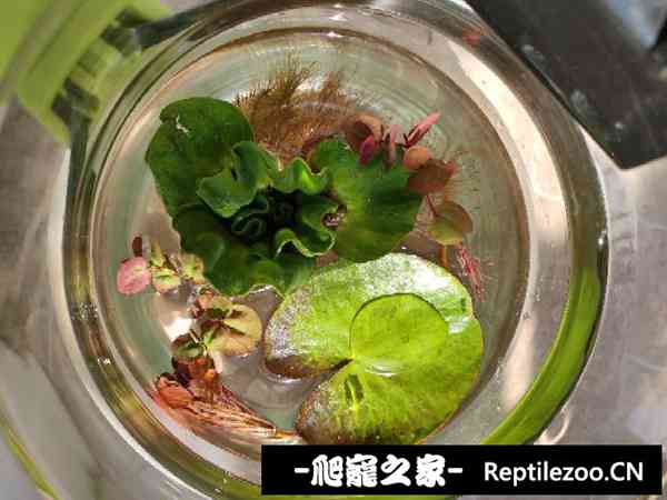 160047wgggvzrur778caab.jpg