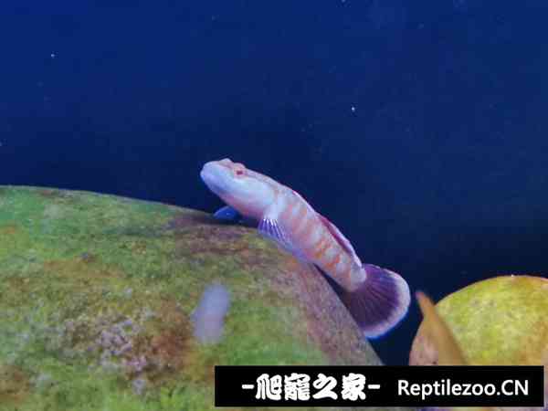 160124rl3zg03uvvbjjkel.jpg
