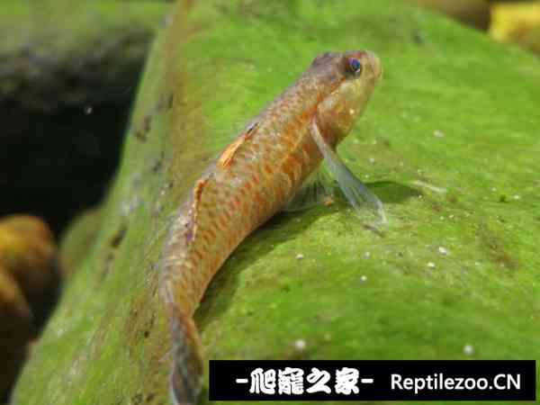 160203cd1y1j2uiqqu41ll.jpg