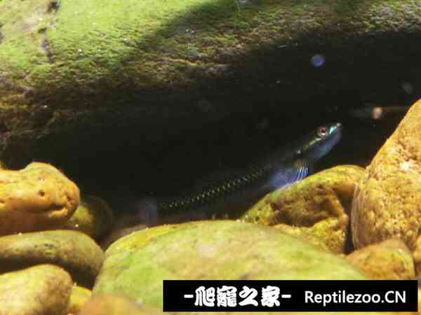160204w10glg5d91lx51jg.jpg