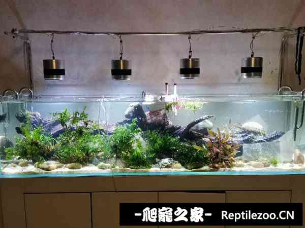 160306e8ooao7a9aaz899f.jpg