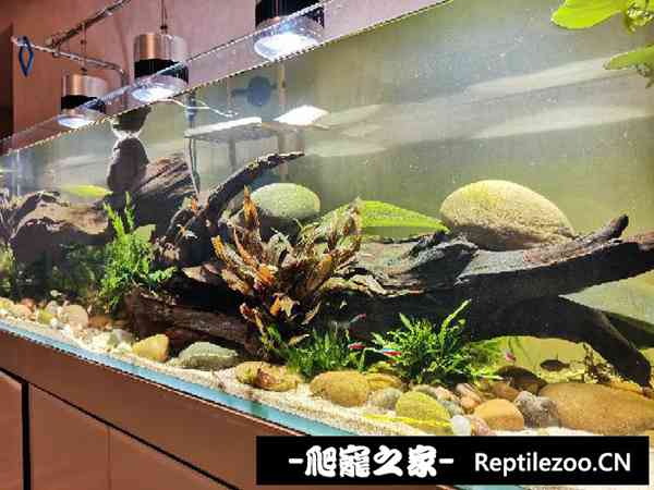 160307ujywo0vb95wbx55z.jpg
