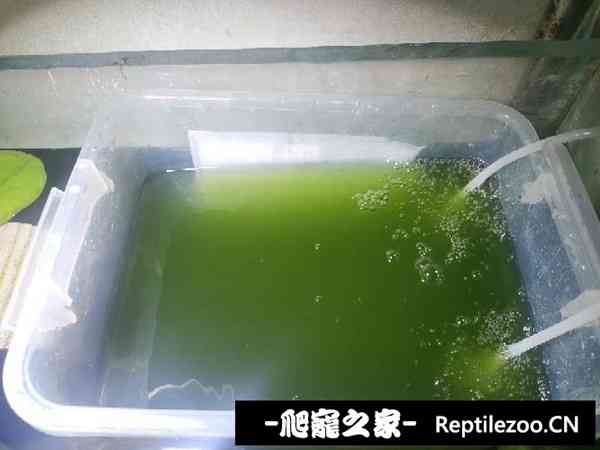 160309fexr212385g8d2g1.jpg
