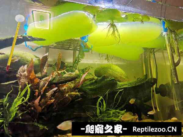 160309u7mfbc0ofoevvsme.jpg