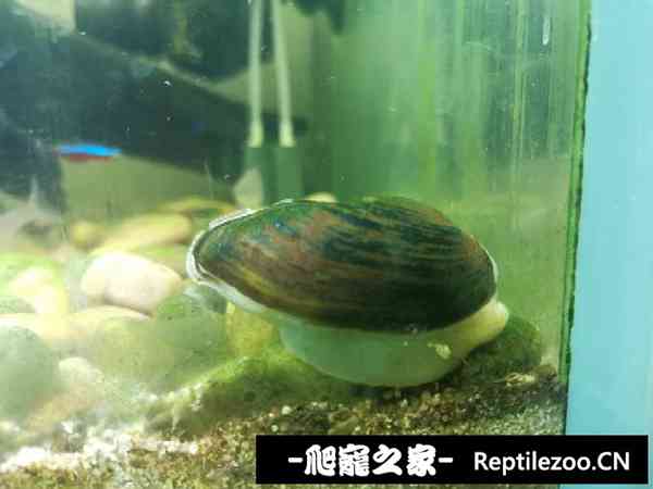160310jnd8knn4akaw733d.jpg