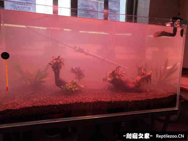 160425w6ibedvkhik86llp.jpg