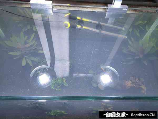 160426qcw507l06k65lfb9.jpg
