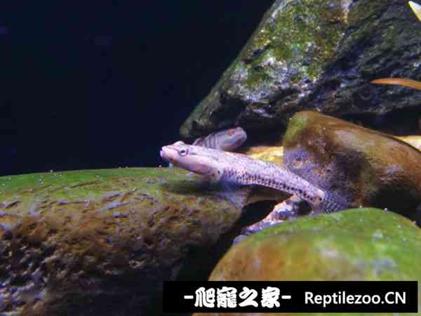160458nctmqx7kwzptq8tq.jpg