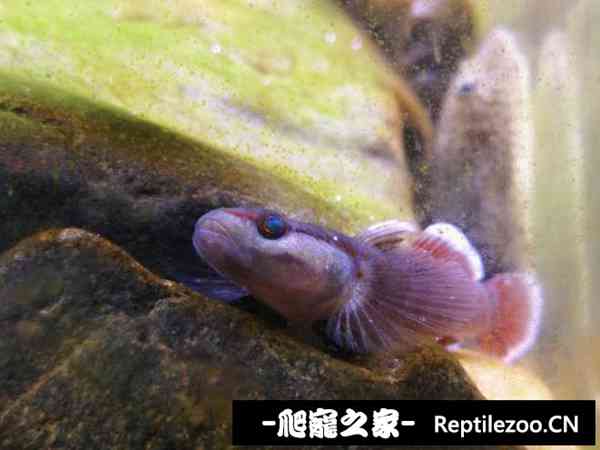 160458ntibktiqfkdkfhod.jpg
