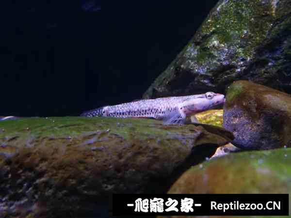 160500z3czp473cuk4k50b.jpg