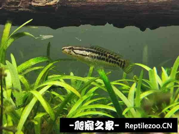 160507vp3451m3bbrb955p.jpg