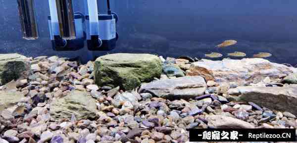 160508rtm20q6sgrhag6j6.jpg