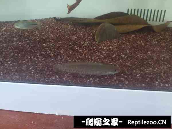 160514dowld4o034rmo3lg.jpg