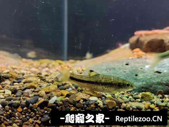 160533fxbbmphs8b84jbba.jpg