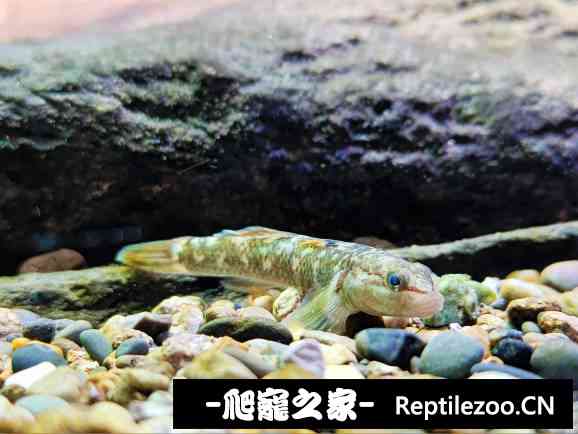 160534td9rgvdtutu44t6g.jpg