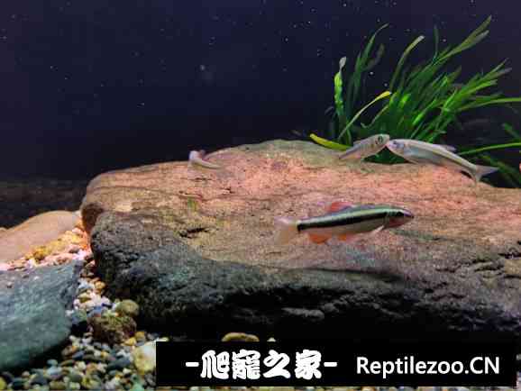 160534tnzenk7qsq37mznn.jpg