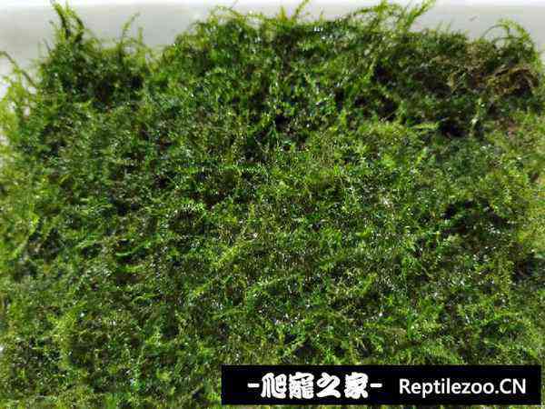 160627hkkw6avgkpw5awvx.jpg