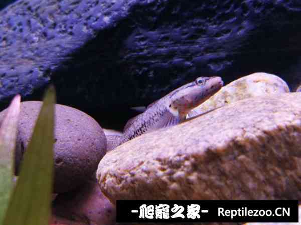 160647ci7gz3my7ym50wyi.jpg