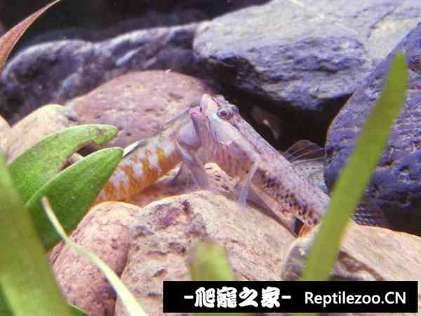 160648ztxn2zw1cck42co4.jpg