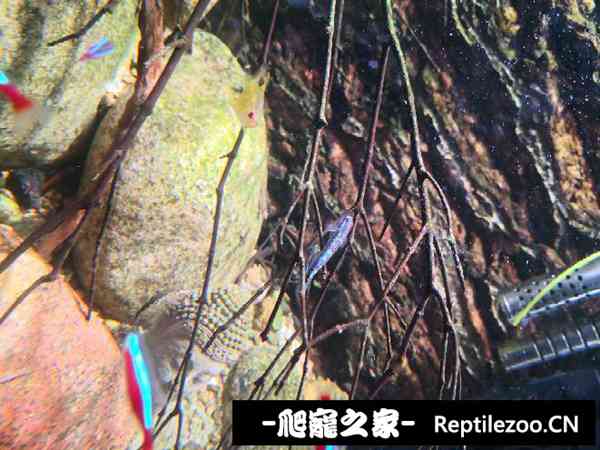 160656ocwxvthhzhyvwzpw.jpg