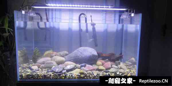 160941blfnf97nn9l0df69.jpg
