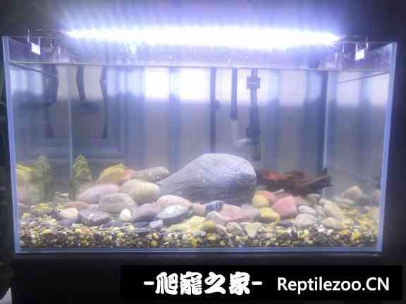 160941klp4d6wj0q0zvlm6.jpg