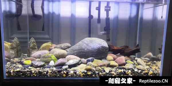 160942bhsnn9llilzzhnns.jpg