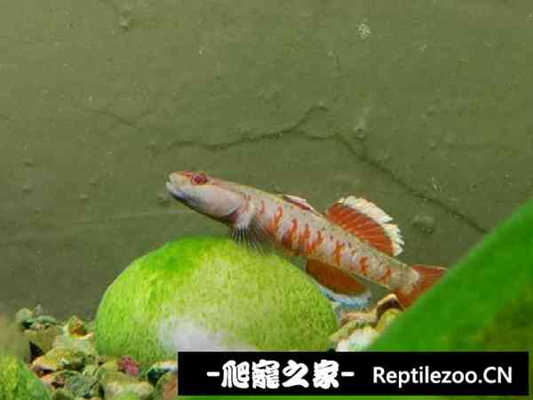 160949vz4m7axr78ixrz86.jpg
