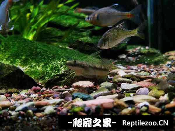 161437wlw8wvsyt65x8y4t.jpg