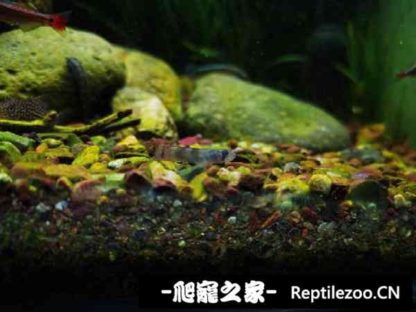 161438gll9590d3ldegfdf.jpg