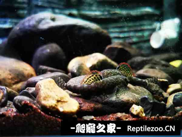 161533cnfo3bvfivne7qg3.jpg