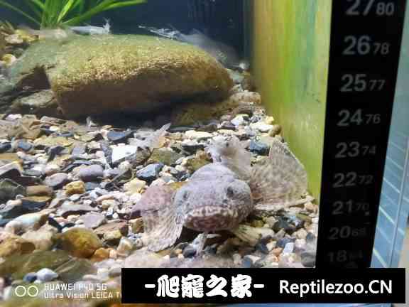 161538hcbu8rb6cr7rr9lr.jpg