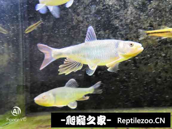 161608b6f7796z771ldm7f.jpg
