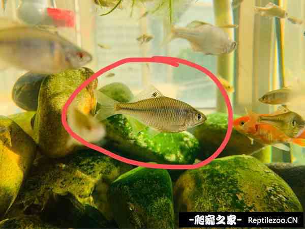 161631m70vvblw27wlwl7a.jpg