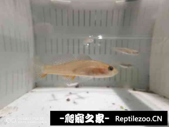 161650kco5csdn54sze0nd.jpg